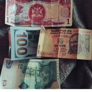 Meet your Posher, Yvonne